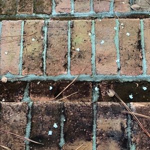 Meet your Posher, Andre